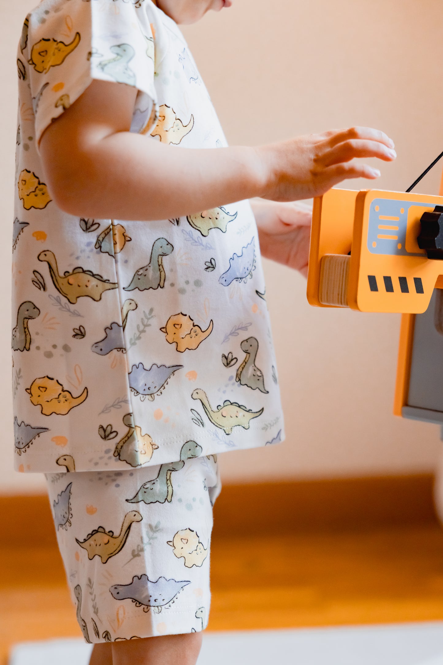 Boys Boxers - Dino Print