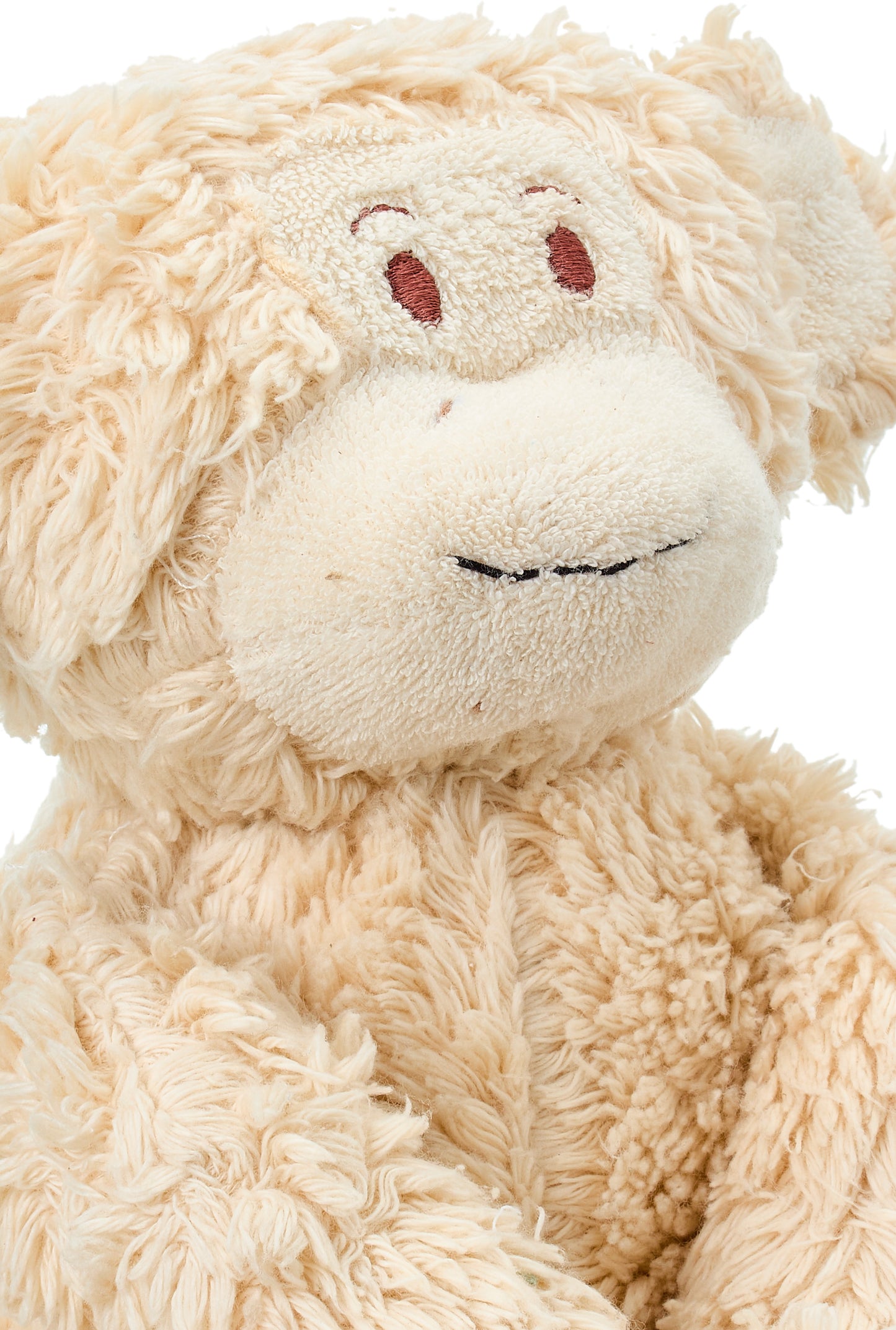 Max the Monkey