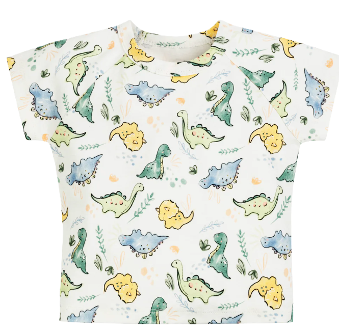 Boys T-Shirt - Dino Print