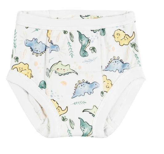 Training Pants - Dino Print