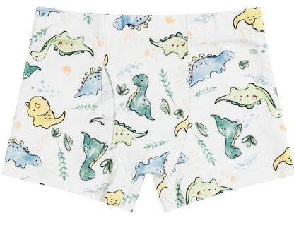 Boys Boxers - Dino Print