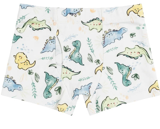 Boys Boxers - Dino Print